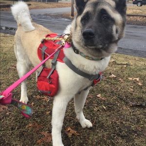 Meet your Posher, Kalyn